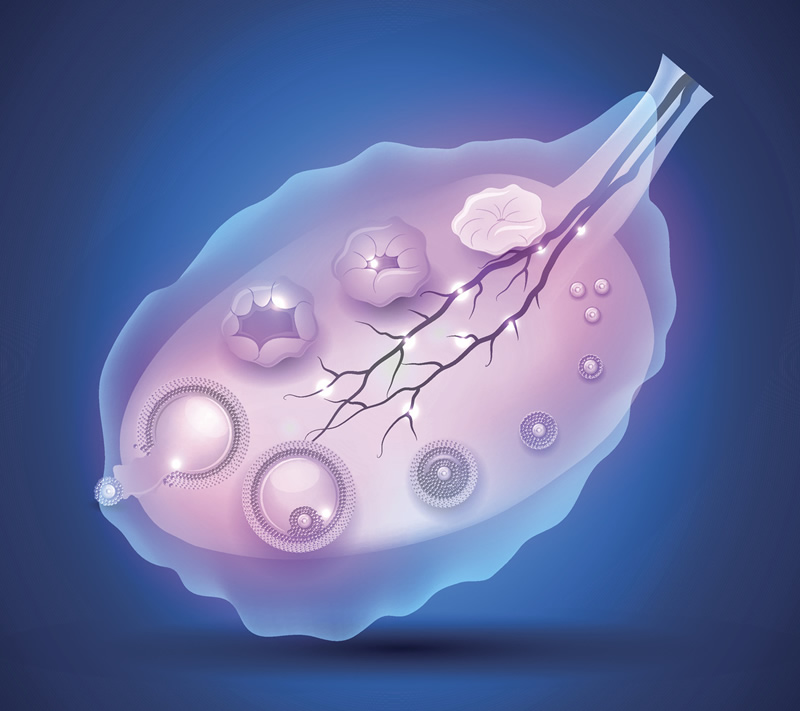 海口冻精保存与试管婴儿医院选择指南：技术、费用与流程详解，附本地优质生殖中心盘点
